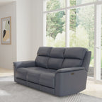 Dual Power Reclining Sofa with Adjustable Headrest - Blue, Dark Brown, Dark Gray