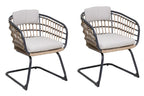 Wicker Dining Chair Set of 2
