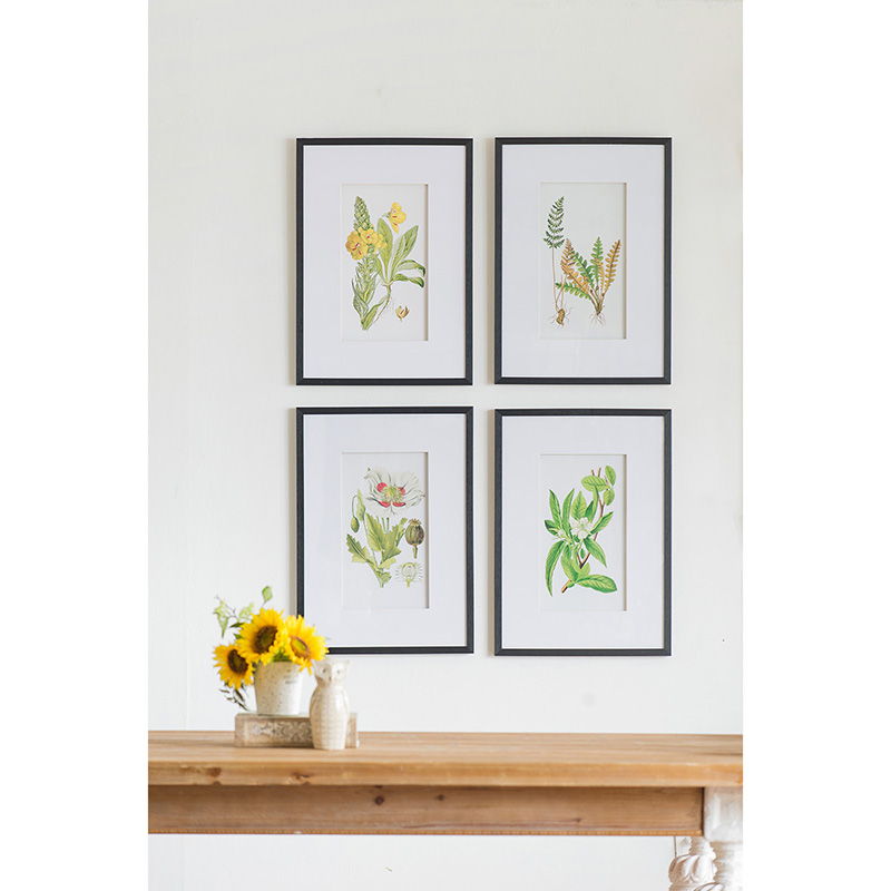 Botanical Flower Wall Art Set of 4 with Framed Prints - White / Blue