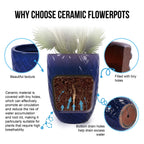 Ceramic Planter with Drainage Hole - White or Light Blue
