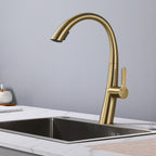 Stainless Steel Pull Out Kitchen Faucet with High Arch Spout - Black or Gold