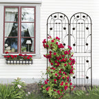 Metal Garden Trellis 2 Pack with Rustproof Finish – Black or Brown