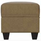 Drason Storage Ottoman with Concealed Storage - Gray or Light Brown