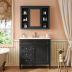 Bathroom Vanity With Mirror Cabinet and Single Sink - Soft-Closing Doors
