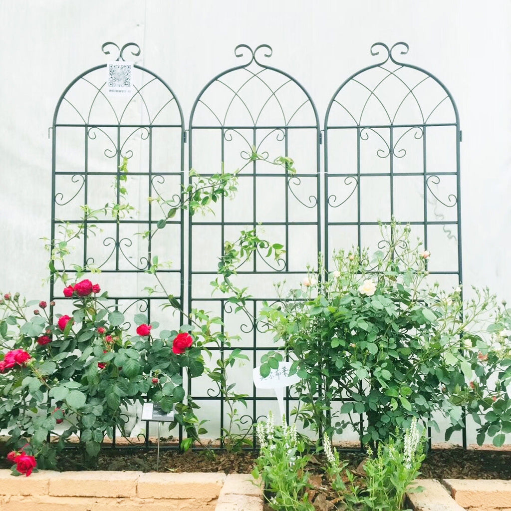 Metal Garden Rustproof Trellis for Climbing Plants – Outdoor Flower Support