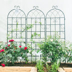 Metal Garden Rustproof Trellis for Climbing Plants – Outdoor Flower Support