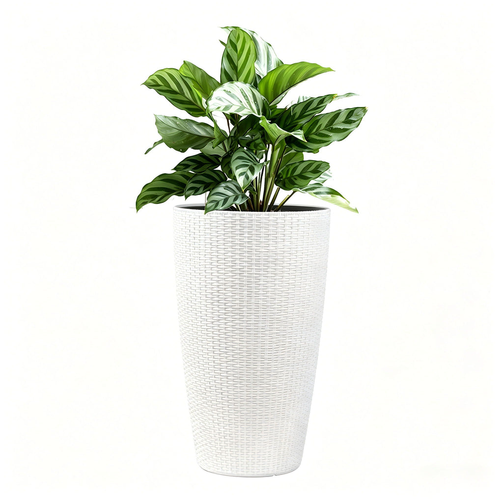 Tall Planters Set with Auto Watering and Water Level Monitor - Polypropylene