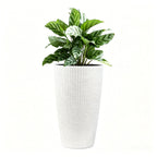 Tall Planters Set with Auto Watering and Water Level Monitor - Polypropylene