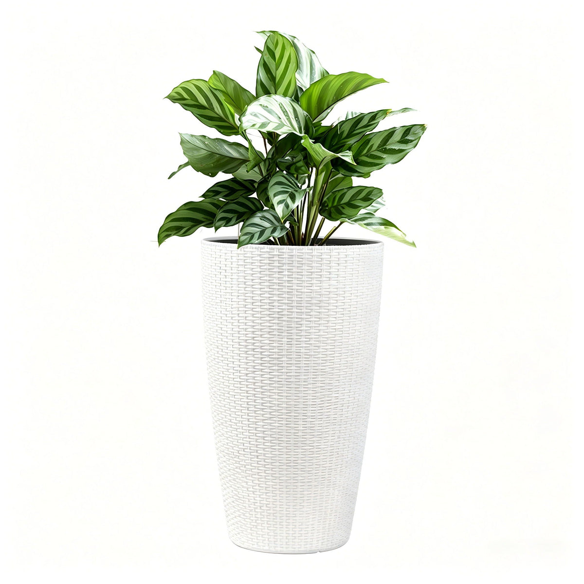 Tall Planters Set with Auto Watering and Water Level Monitor - Polypropylene