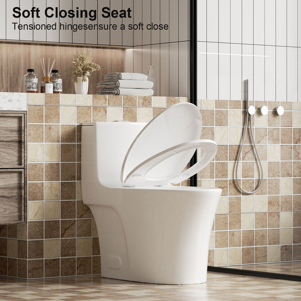 Elegant One Piece Toilet With Tornado Dual Flush