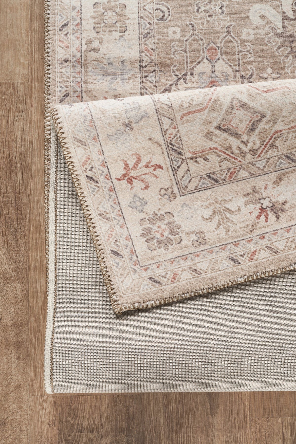 Oxford Collection Area Rug with Traditional Design - 24 x 36 Inches