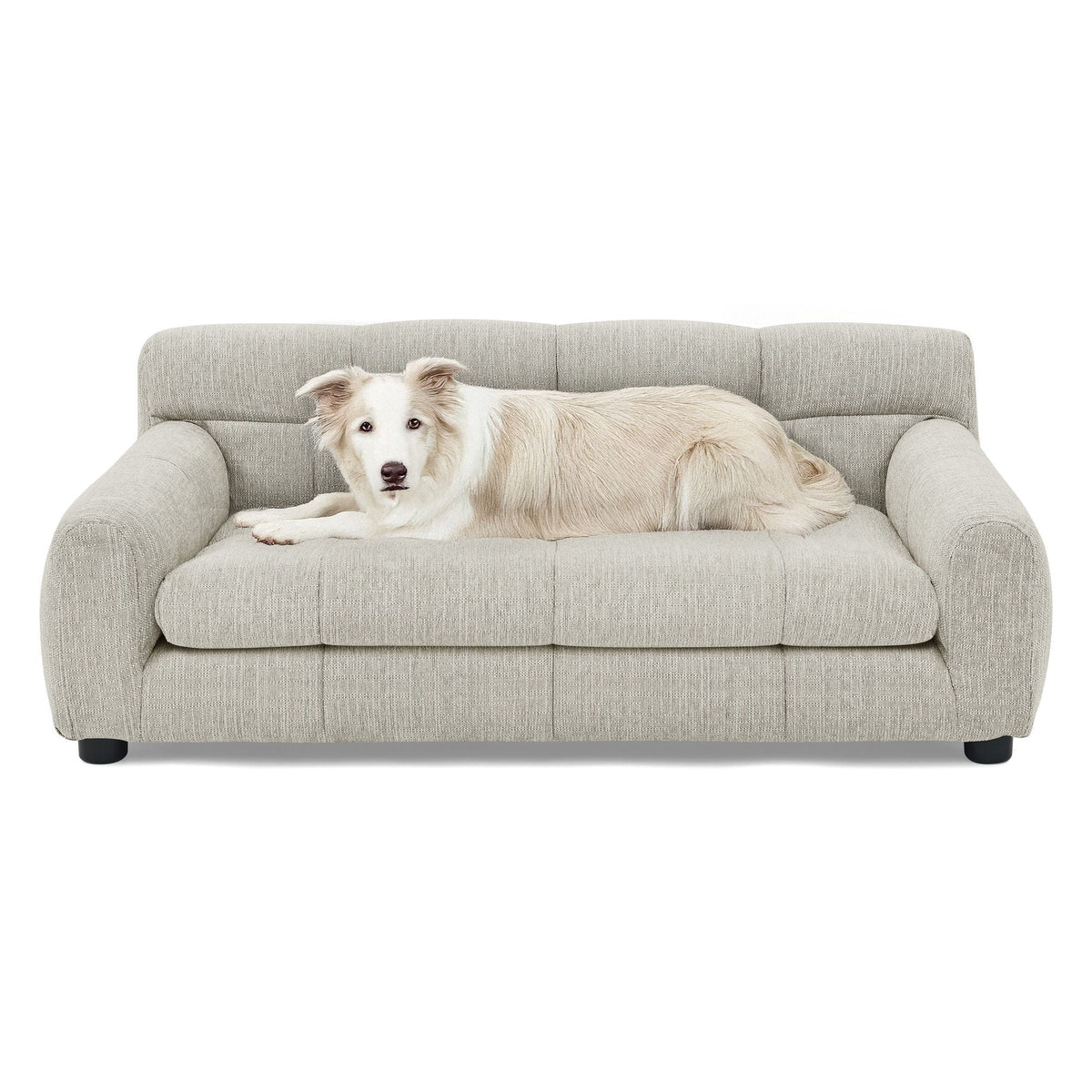 Modern Pet Sofa With Backrest And Armrests