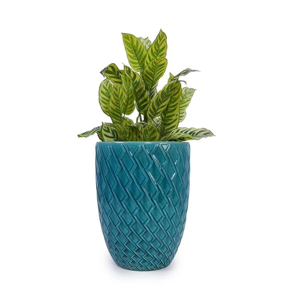 Ceramic Planter with Drainage Hole - White or Light Blue
