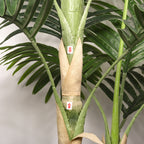 6FT Artificial Palm Tree with Realistic Detail - Green Leaves