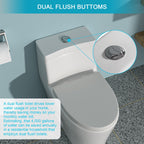 Dual Flush 1 Piece Toilet with Soft Closing Seat - White