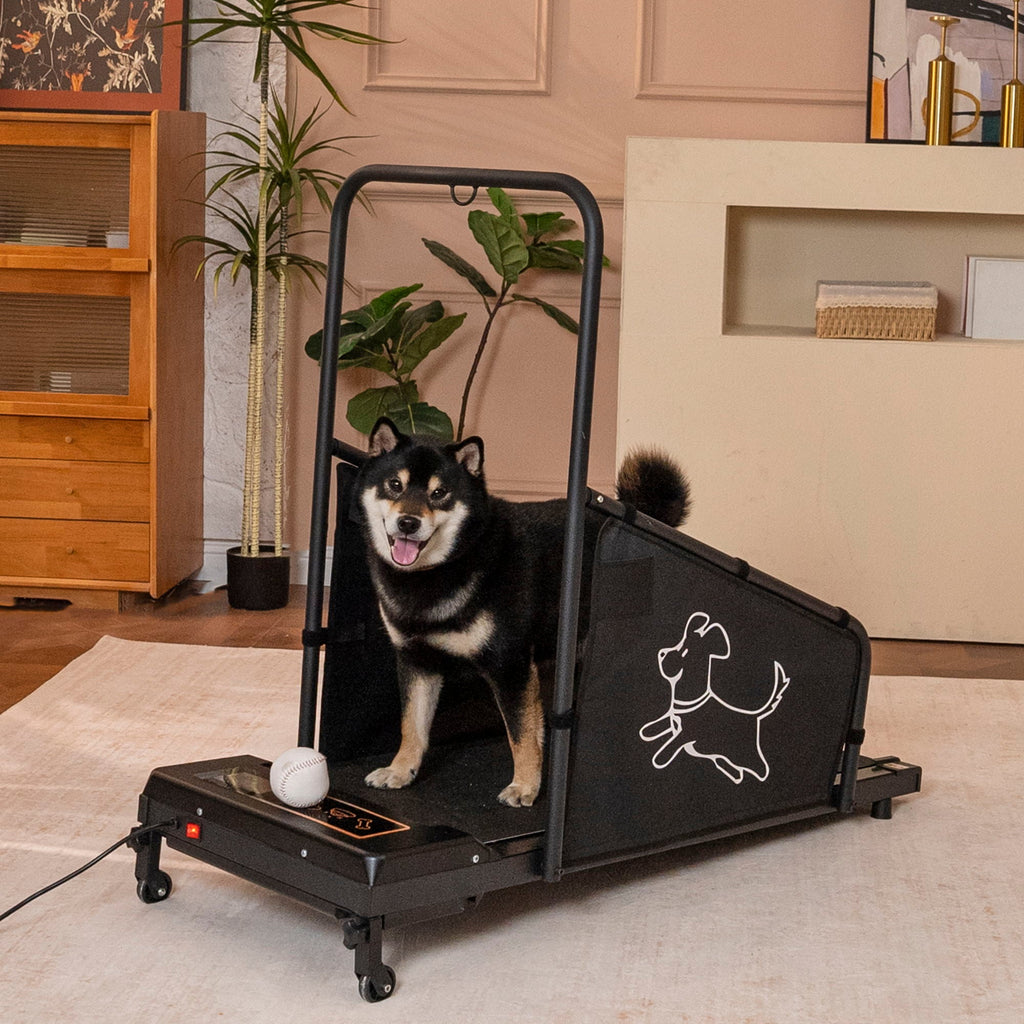 Dog Treadmill for Medium Dogs with Non-Slip Belt and Remote Control - Black