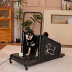 Dog Treadmill for Medium Dogs with Non-Slip Belt and Remote Control - Black