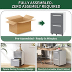 2-Drawer Mobile File Cabinet with Lock - White