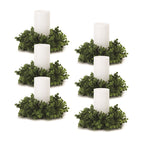 Eucalyptus foliage candle ring (set of 6)