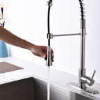 Modern Single Handle Spring High Arc Kitchen Faucet with Water Filter System - Pearl Silver