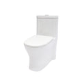 Dual Flush 1-Piece Toilet with Soft-Closing Seat - White