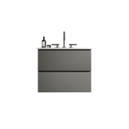 Space Grey 24-Inch Wall Mount Bathroom Vanity with Extra Storage