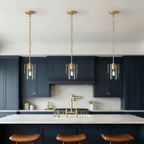 Adjustable Pendant Lighting with Clear Glass Shade - Black or Gold