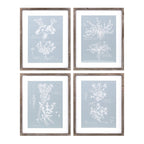 Wood framed encyclopedia floral outline under glass (set of 4)