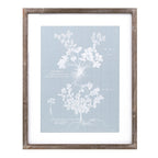 Wood framed encyclopedia floral outline under glass (set of 4)
