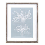 Wood framed encyclopedia floral outline under glass (set of 4)