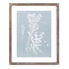 Wood framed encyclopedia floral outline under glass (set of 4)