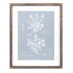 Wood framed encyclopedia floral outline under glass (set of 4)