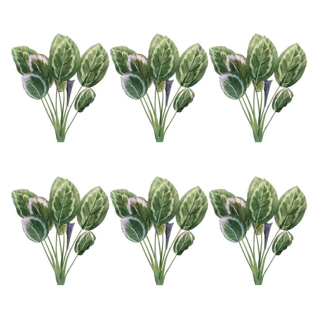 Prayer plant foliage bush (set of 6)