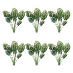 Prayer plant foliage bush (set of 6)