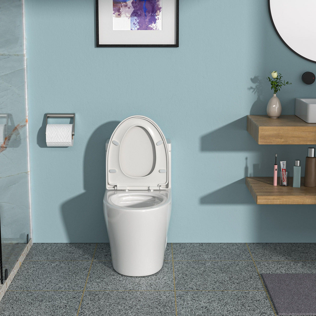 Dual Flush 1 Piece Toilet with Soft Closing Seat - White