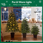 3-Piece Pre-Lit Christmas Tree Set