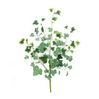 Mixed ivy foliage bush (set of 2)
