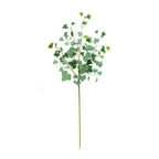 Mixed ivy foliage bush (set of 2)