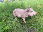 Cheerful Beige Pig Garden Statue with Weather-Resistant Finish - Beige