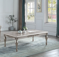 Platinum Finish Coffee Table with Floral Trim Apron - Pelumi