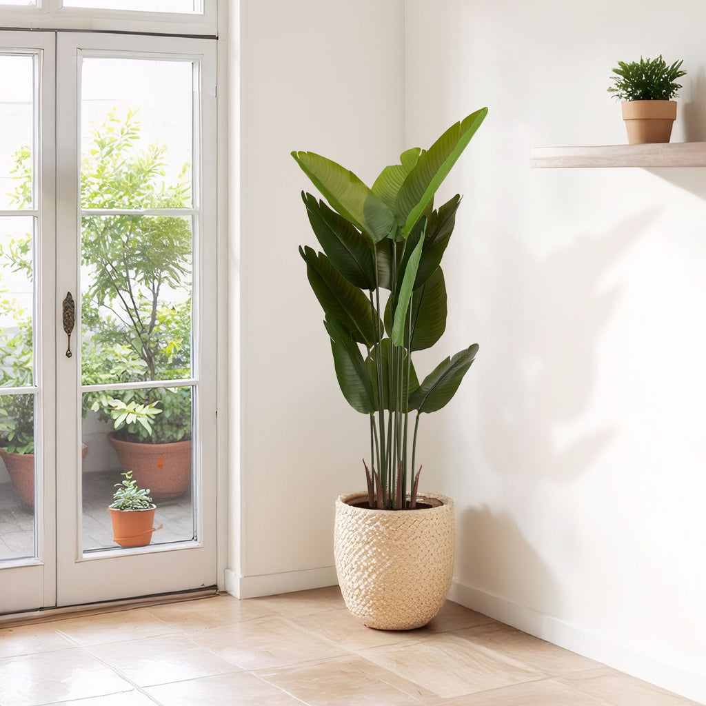Artificial Plant Set of 2 with Durable Plastic Construction - Green