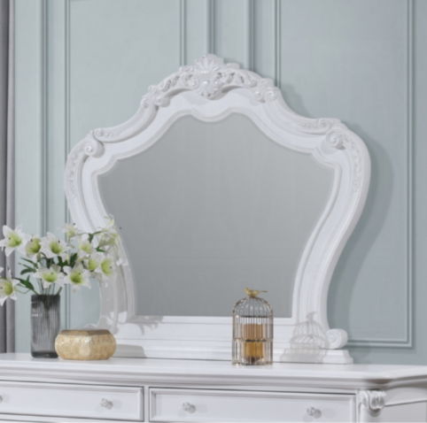 Latisha Mirror in White with Wood Frame - White