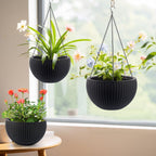 Self Watering Hanging Planter with Water Level Indicator - White, Black, or Dark Brown