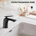 Single Hole Bathroom Sink Faucet with Pop-Up Drain