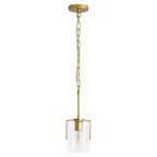 Adjustable Pendant Lighting with Clear Glass Shade - Black or Gold