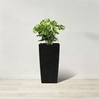 Indoor Outdoor Planter with Automatic Watering System - Dark Brown, Black, or White