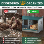Galvanized Steel Metal Nesting Boxes for Chicken with Three Compartments
