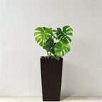 Indoor Outdoor Planter with Automatic Watering System - Dark Brown, Black, or White