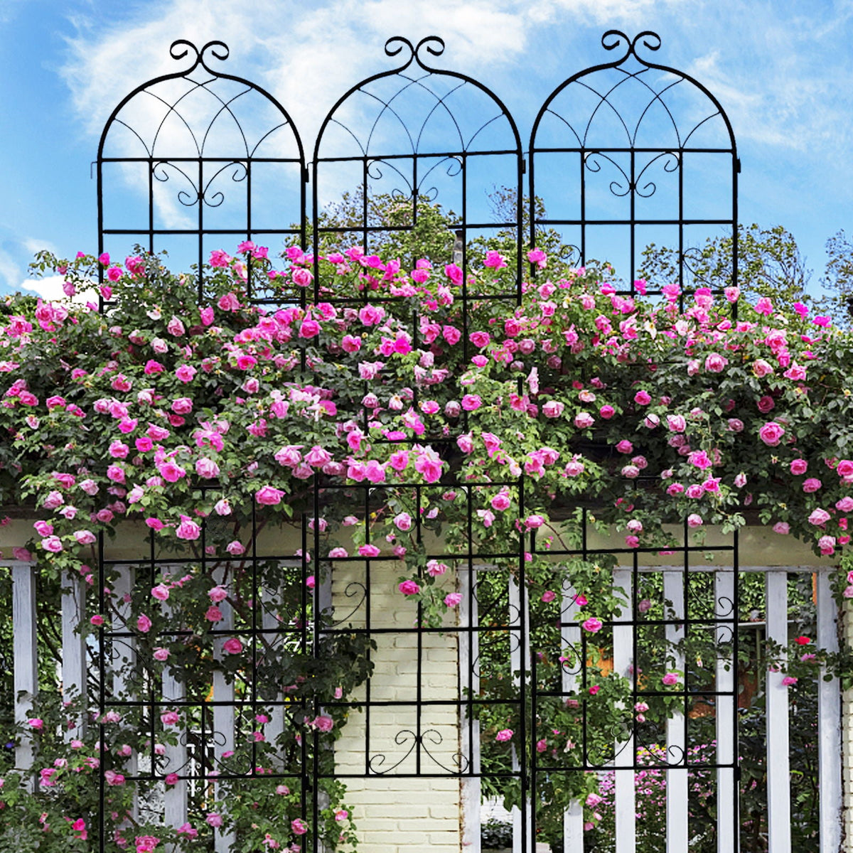 Metal Garden Rustproof Trellis for Climbing Plants – Outdoor Flower Support