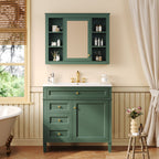 Bathroom Vanity With Mirror Cabinet and Single Sink - Soft-Closing Doors
